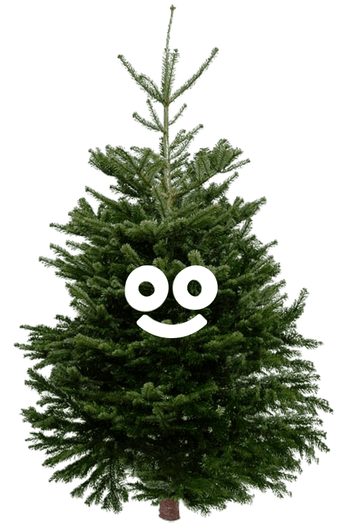 BeterBoompje zónder kluit (L)