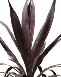 inspiratie-5