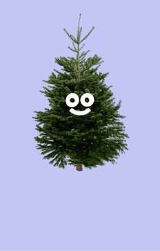 BeterBoompje zónder kluit (XL)