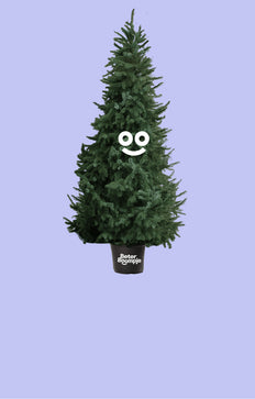 BeterBoompje mét kluit (XL)