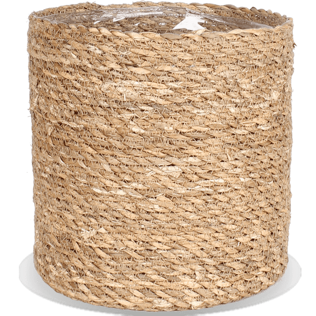Atlantic (30 cm)