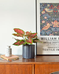 inspiratie-3