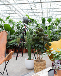 inspiratie-3