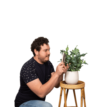 Plantenliefhebber