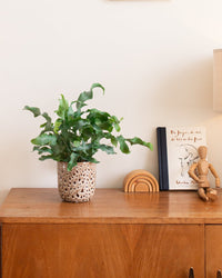 inspiratie-5