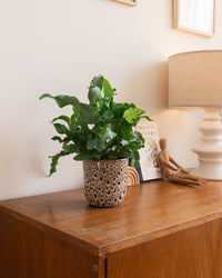 inspiratie-3