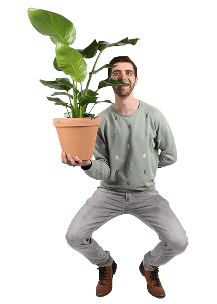 Plantenliefhebber