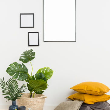 Interieur trends én je favoriete amigo's!