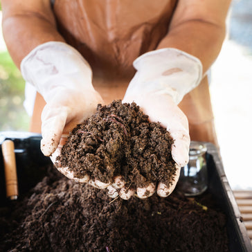 Compost en mest: de sleutel tot een gezonde tuinbodem