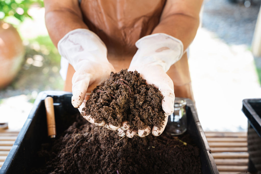 Compost en mest: de sleutel tot een gezonde tuinbodem