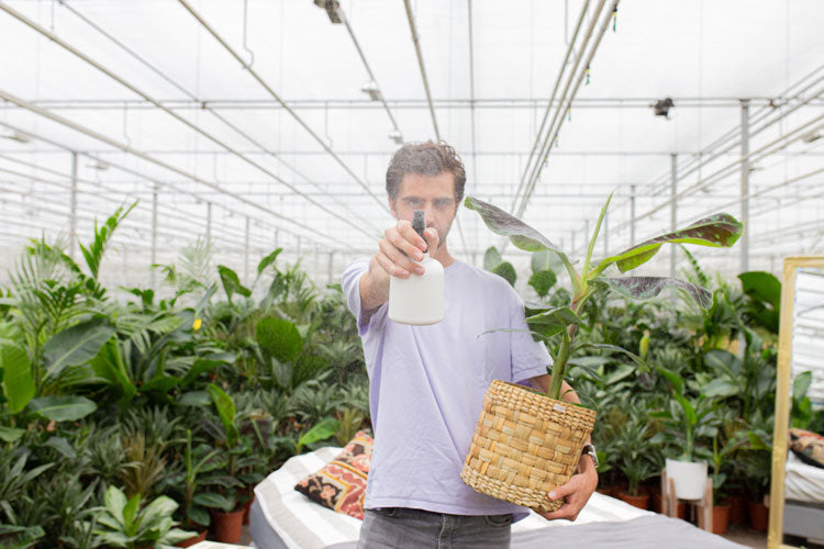De magie van plantenbuurtjes
