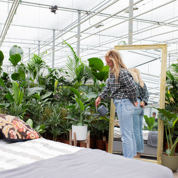 Plantverzorging na je vakantie