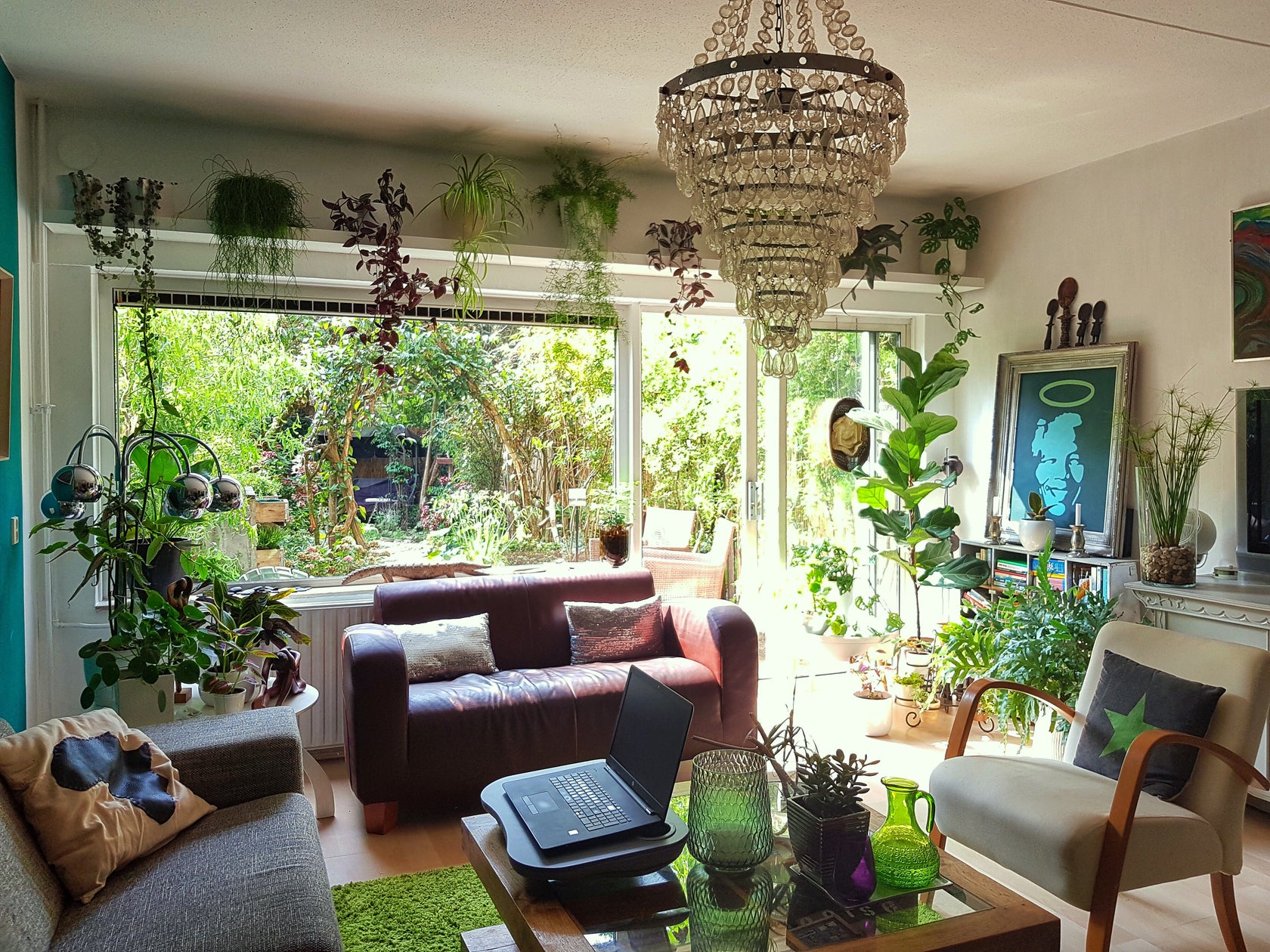 ''In het begin is je woonkamer wat groen betreft nog een blank canvas.''