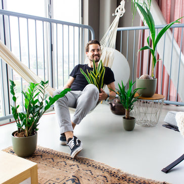Sansevieria (Vrouwentong) stekken? Zó doe je dat!