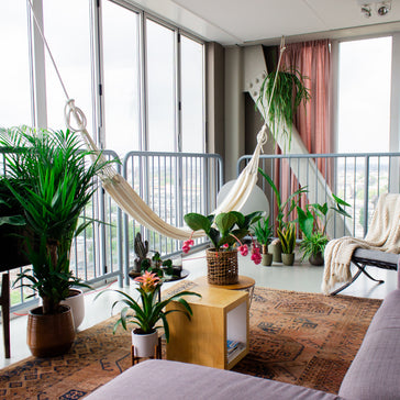 Een plantenstandaard: onmisbaar in je interieur
