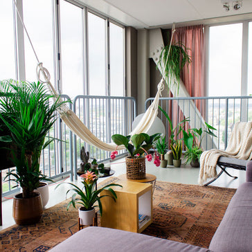 Maak met deze interieurtips je Urban Jungle 2020-proof!