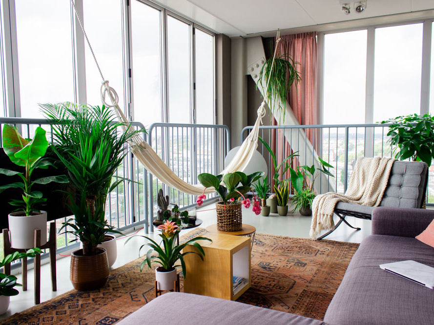 Maak met deze interieurtips je Urban Jungle 2020-proof!