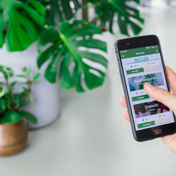 Eindelijk... de Plantsome app versie 2.1.1!