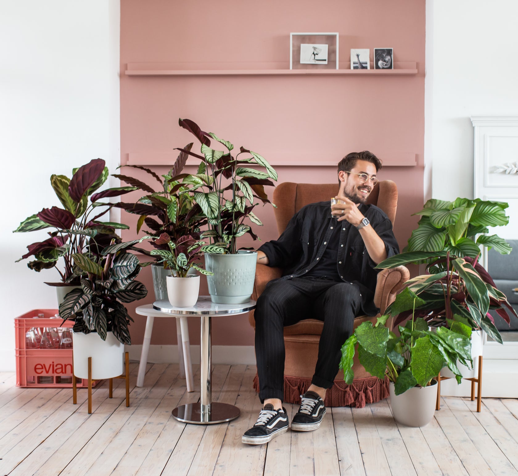 Woonkamer met planten calathea | Plantsome 