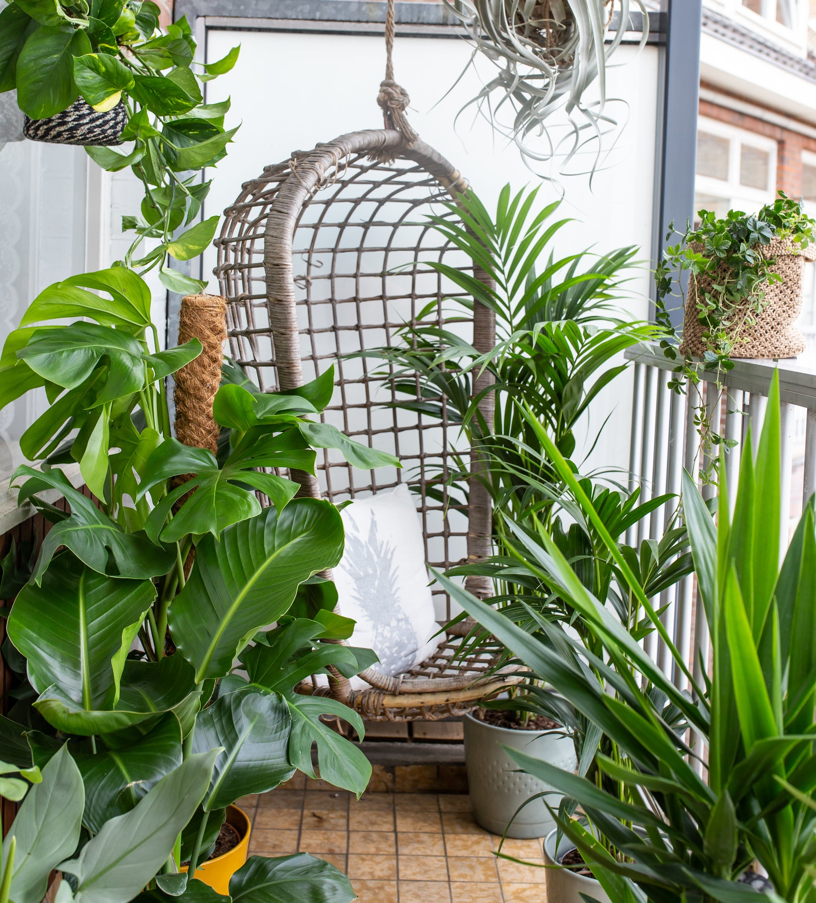 Verhuis je plantenfeestje naar buiten!