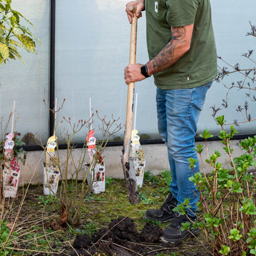 Bereid je tuin voor op buitenplanten!