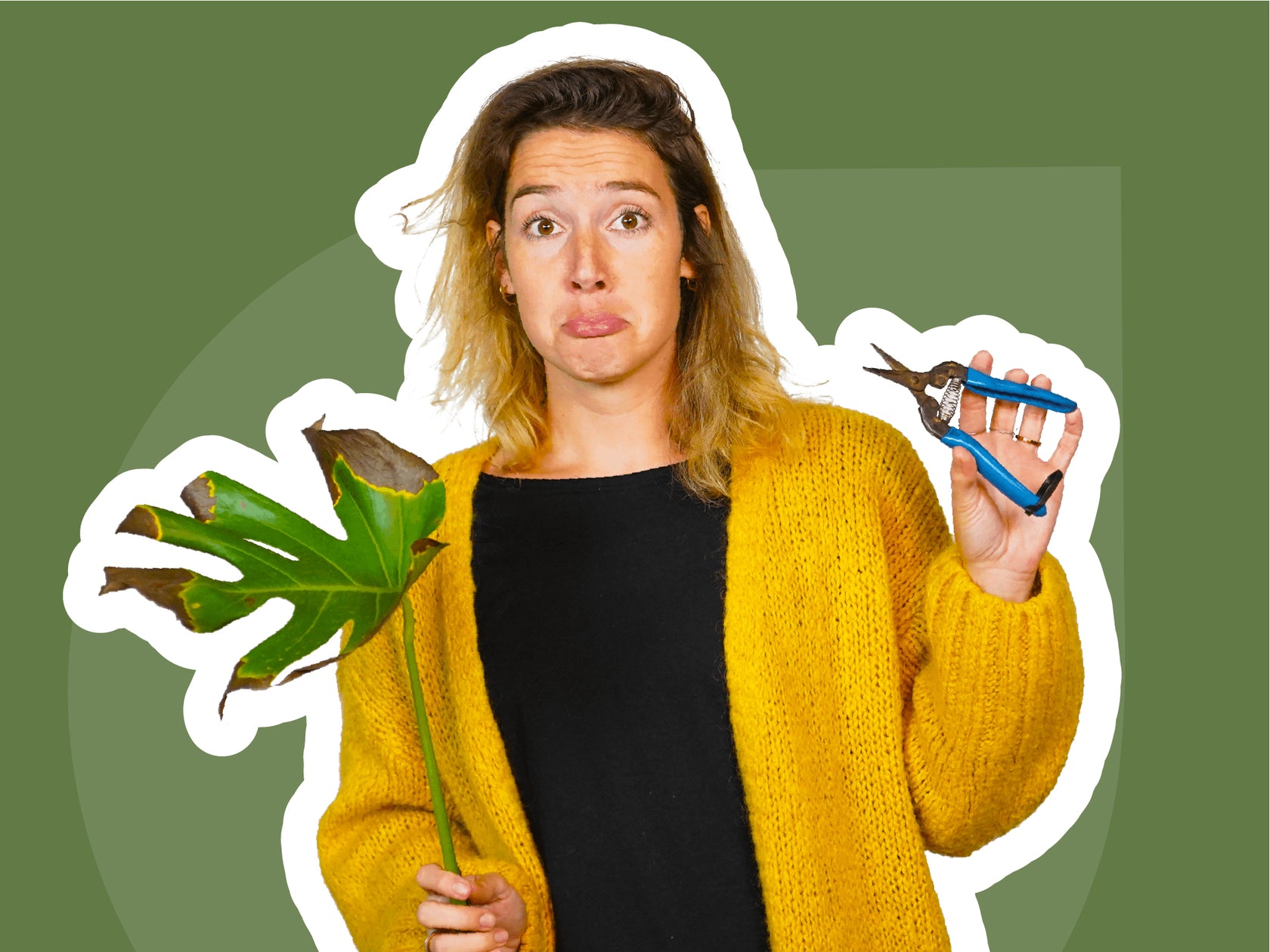 Eerste hulp bij verkleurde bladeren!