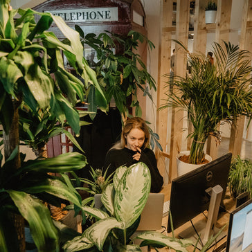 Waarom planten op kantoor nemen?