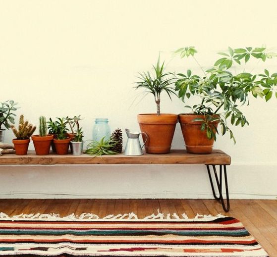 Ter inspiratie: zó staan kamerplanten op de gang!