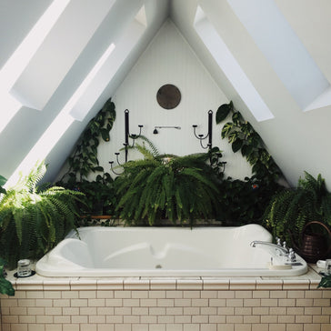 Planten voor in de badkamer.