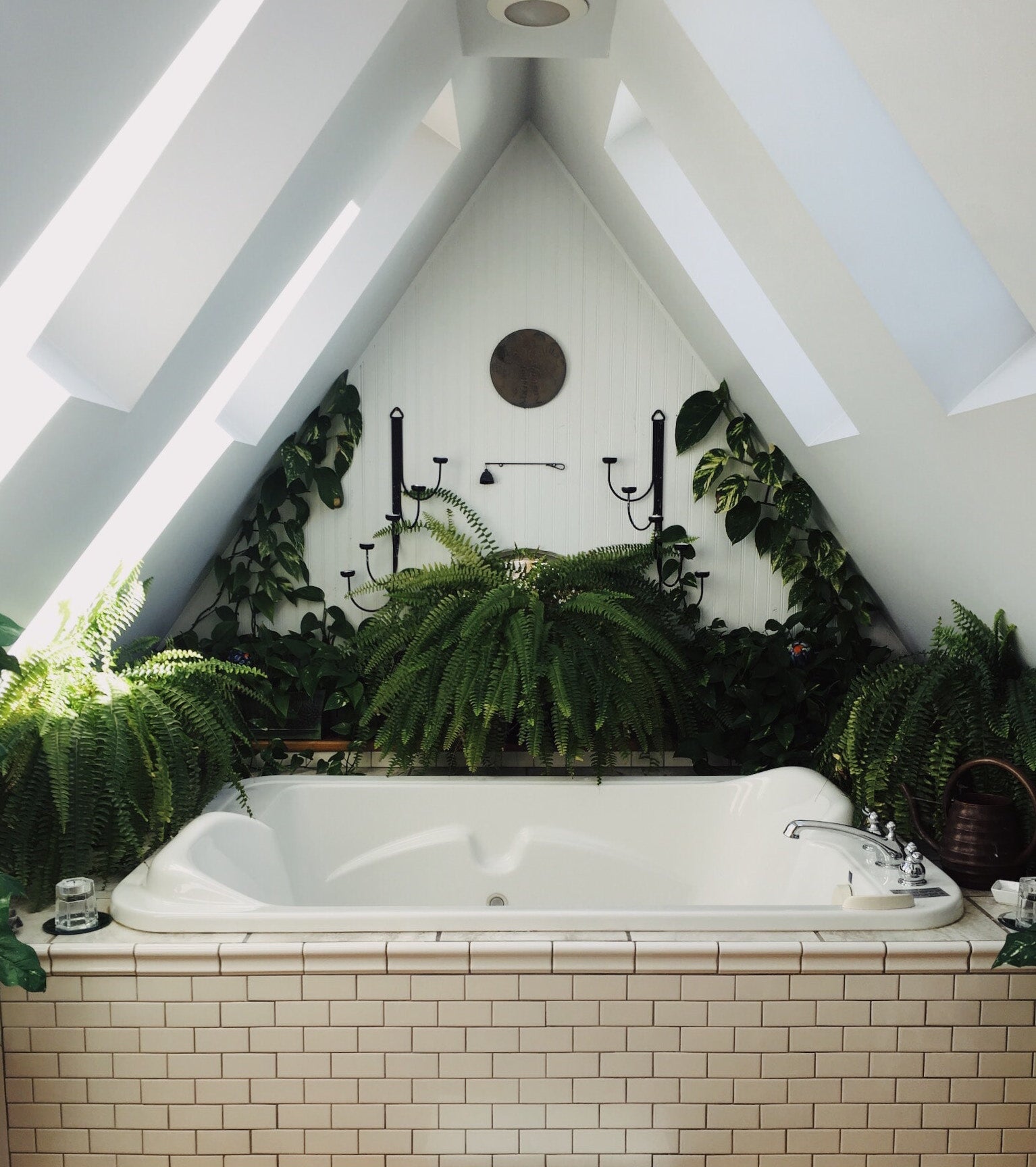 Planten voor in de badkamer | Plantsome