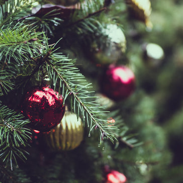 Kerstboom verzorging 101