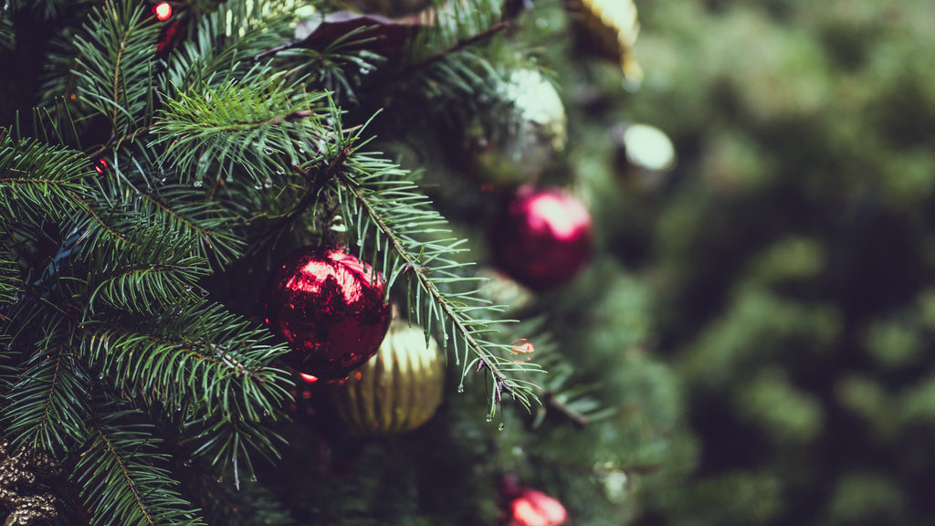 Kerstboom verzorging 101