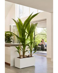 inspiratie-1
