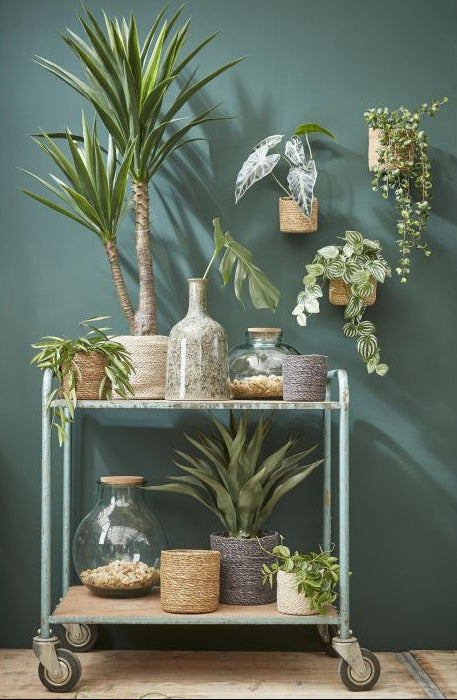 inspiratie