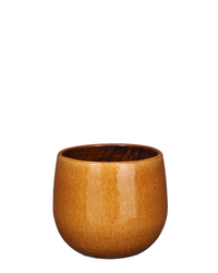 Pablo Smooth (16cm) inspiratie 3