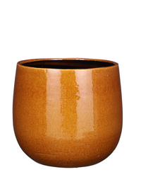 Pablo Smooth (25cm) inspiratie 2