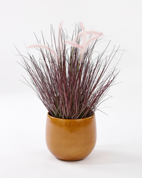Pablo Smooth (21cm) inspiratie 7