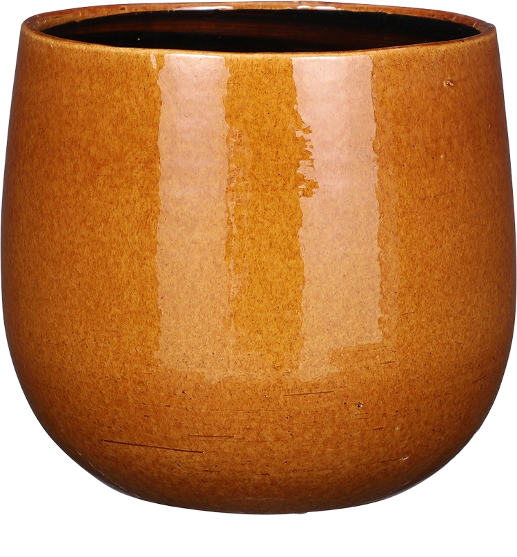 Pablo Smooth (25cm) Oker