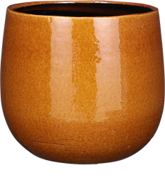 Pablo Smooth (18cm) Oker