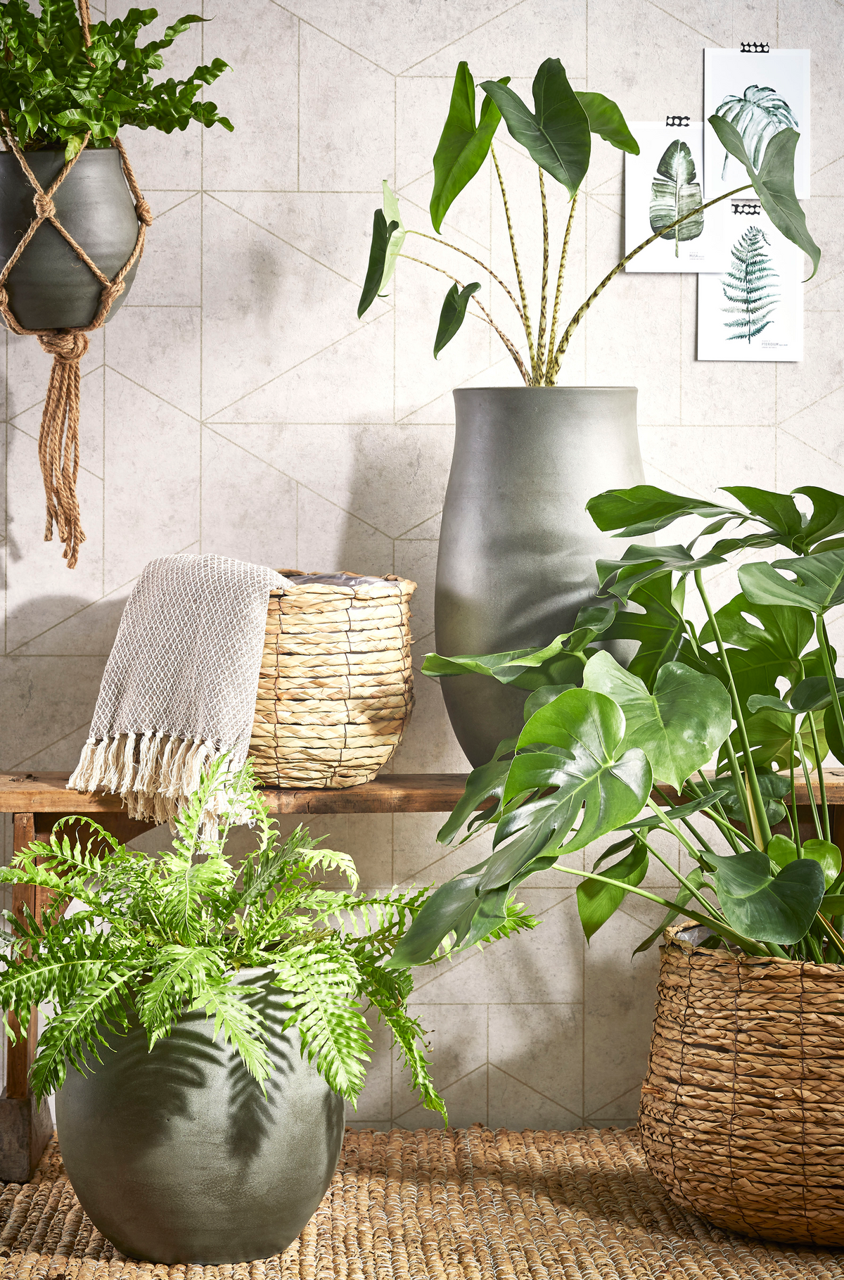 Avalon mand (26cm) inspiratie 1