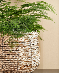 Avalon mand (26cm) inspiratie 3