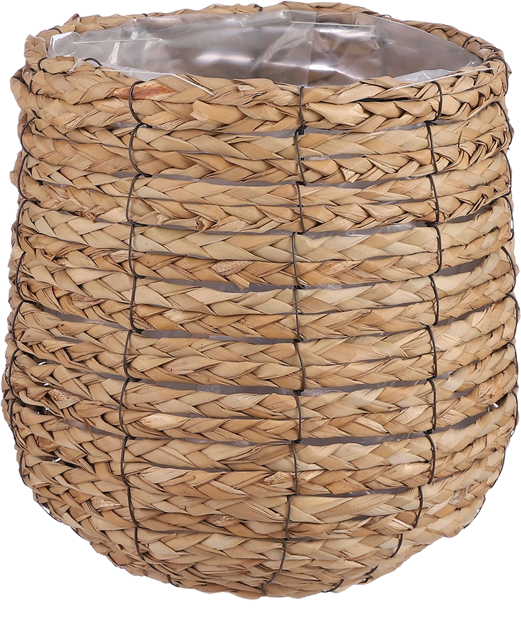 Avalon mand (26cm) Lichtbruin
