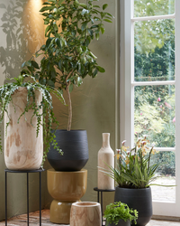 Evora (16cm) inspiratie 3