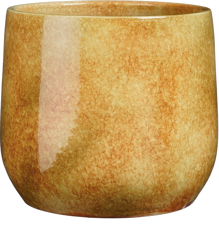 Hugo (16cm) Oker