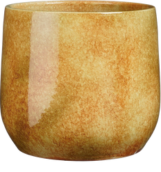 Hugo (19cm) Oker