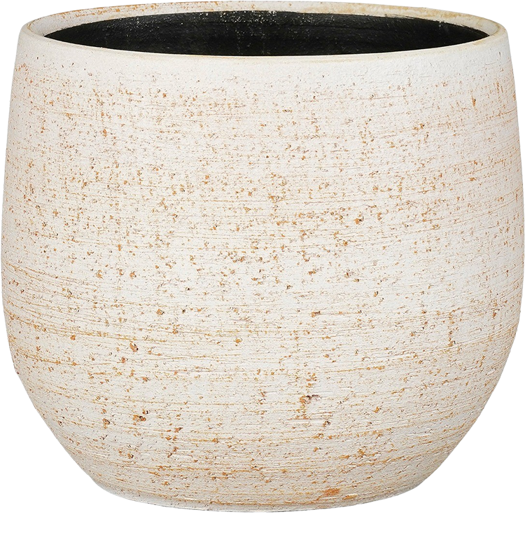 Marcus (21cm) Beige
