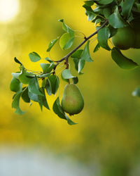 inspiratie-3