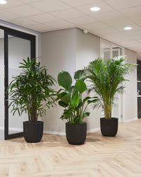 inspiratie-1
