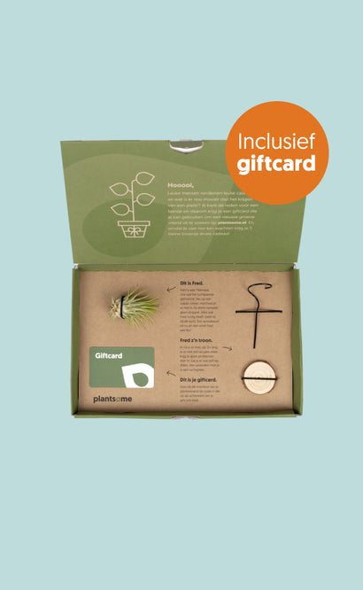 Plantsome giftbox