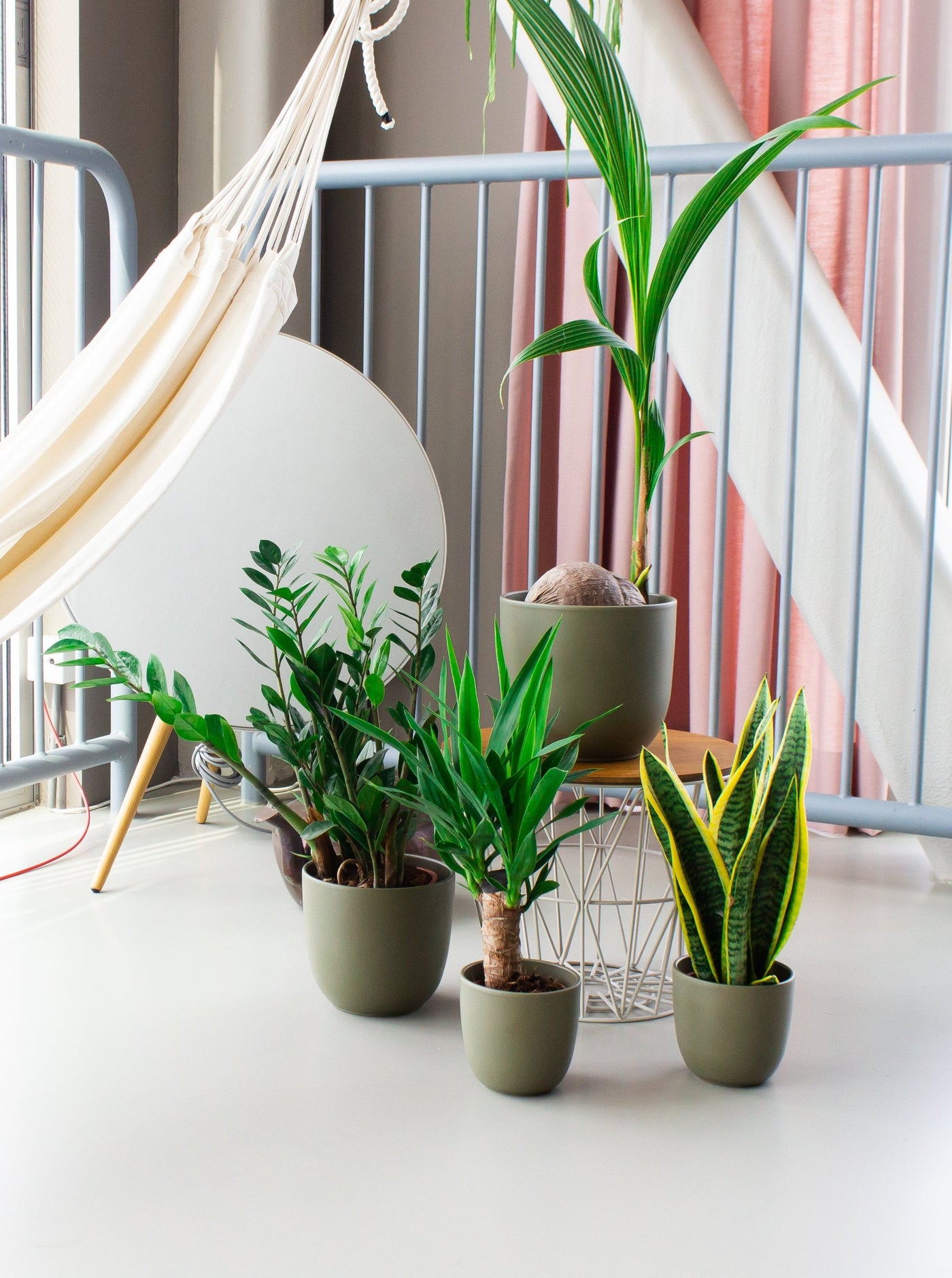 inspiratie